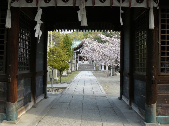 �O�������{