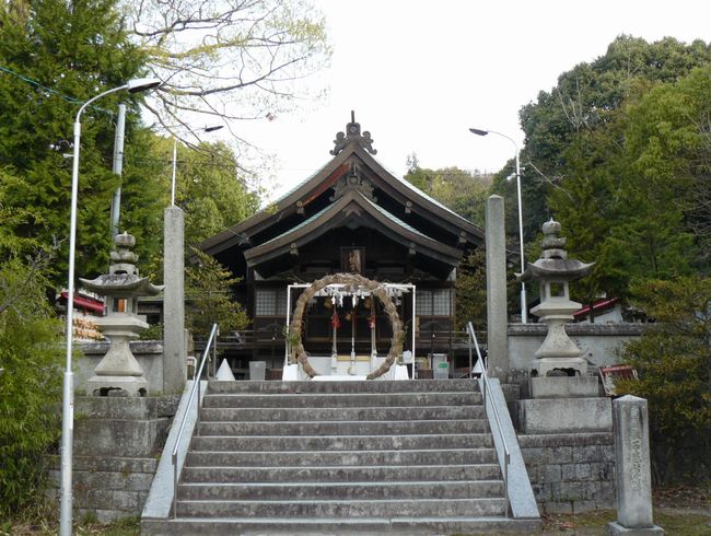 �O�������{