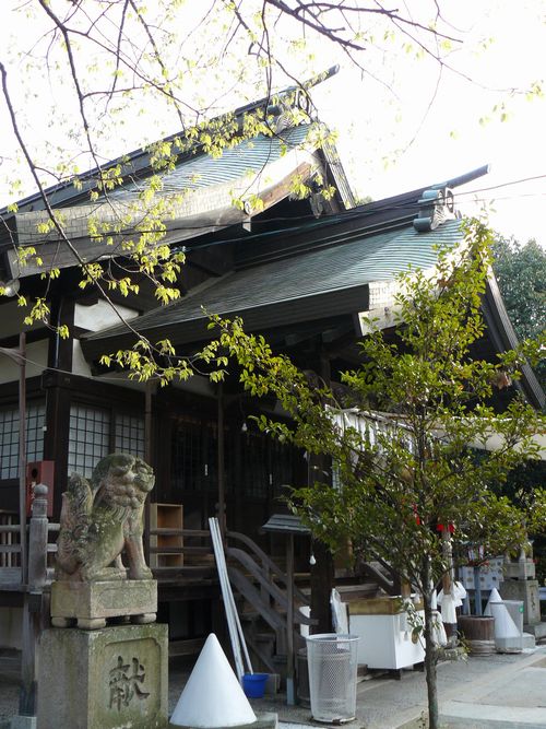 �O�������{