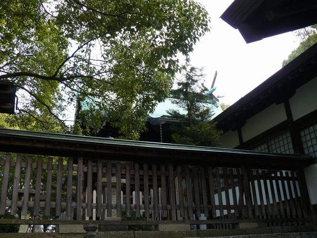 �O�������{