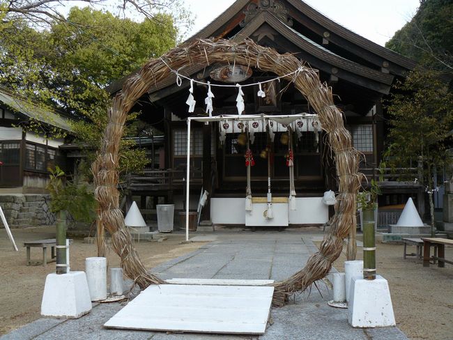 �O�������{