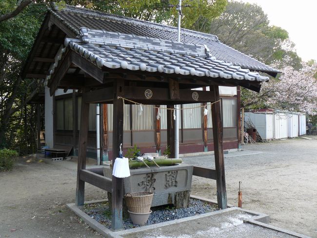 �O�������{