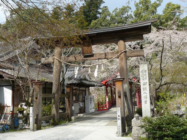 �䒲�����{