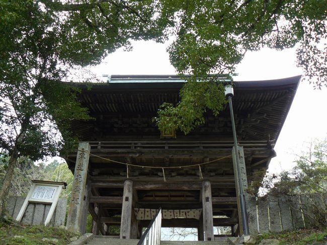 �䒲�����{