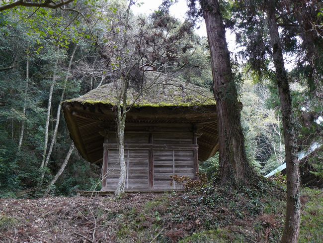 �䒲�����{