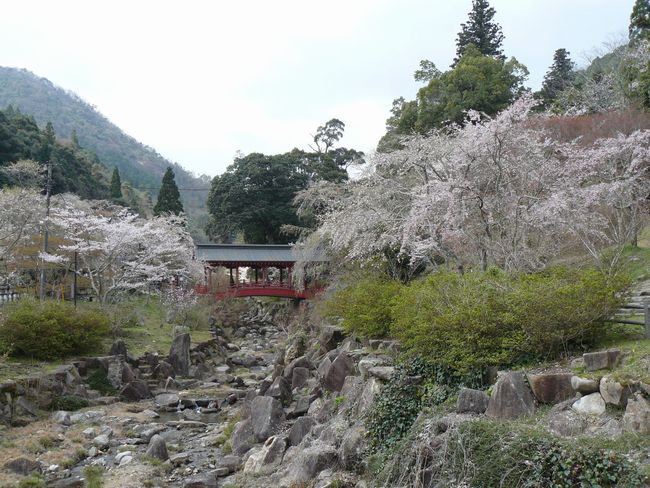 �䒲�����{