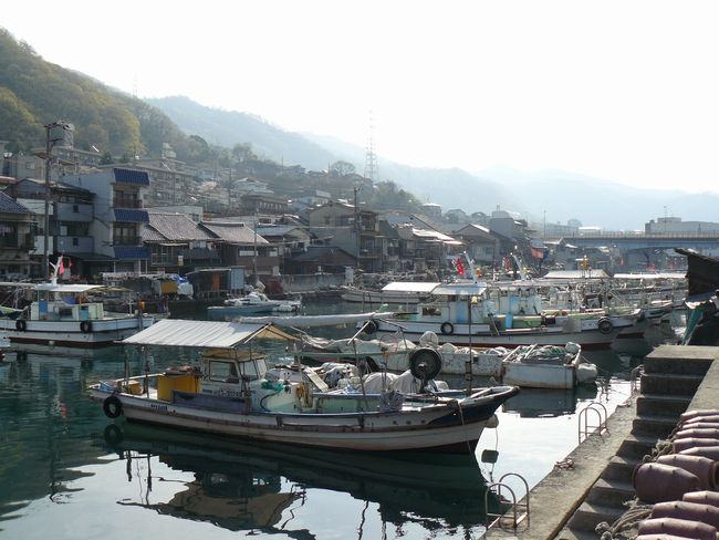 �O�����`