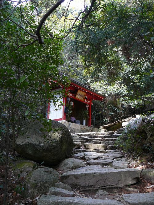 �������n��