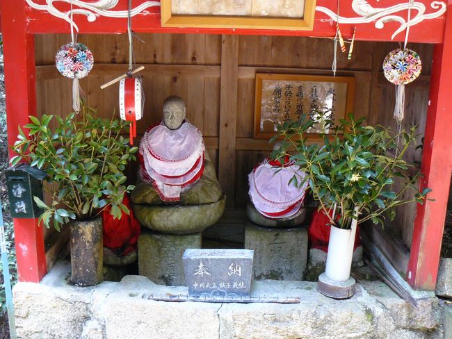 �������n��