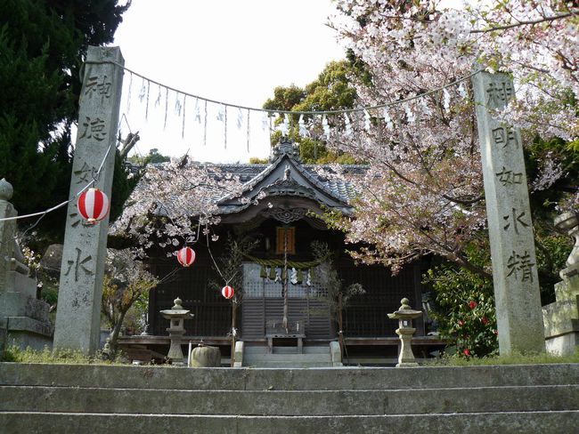 �V���_��