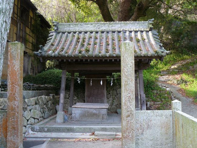 �V���_��