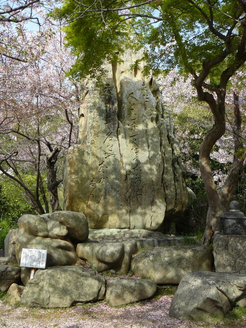 �V���_��