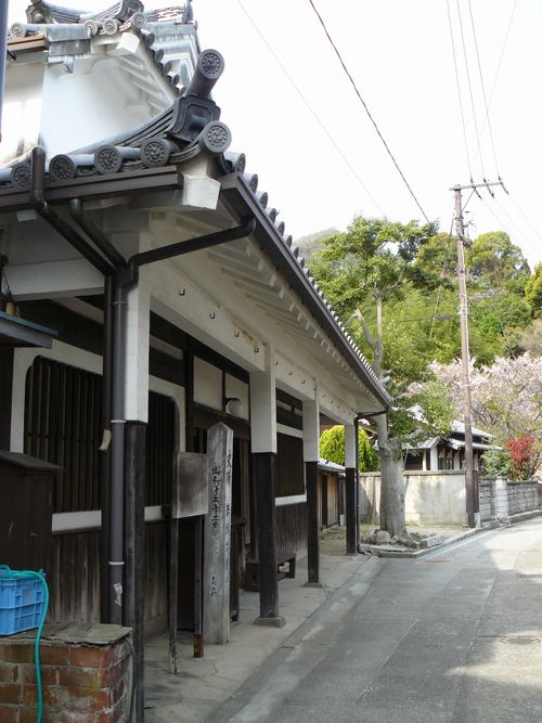 ��ӎq����