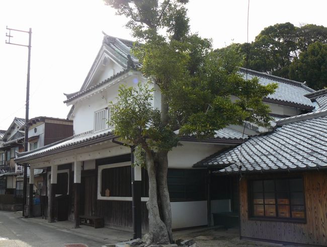 ��ӎq����