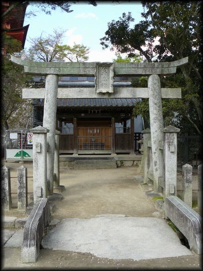 �r�ӎq�_��