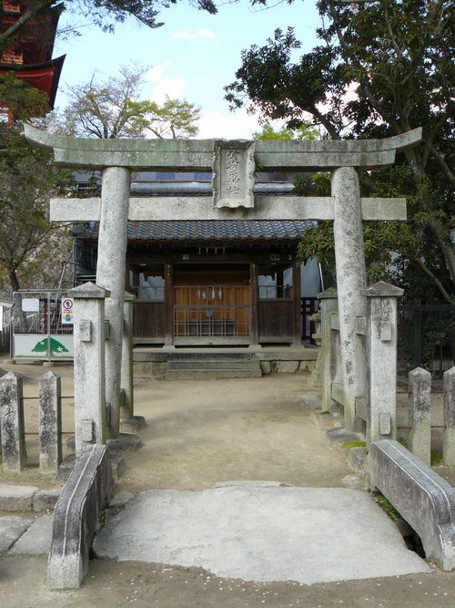 �r�ӎq�_��