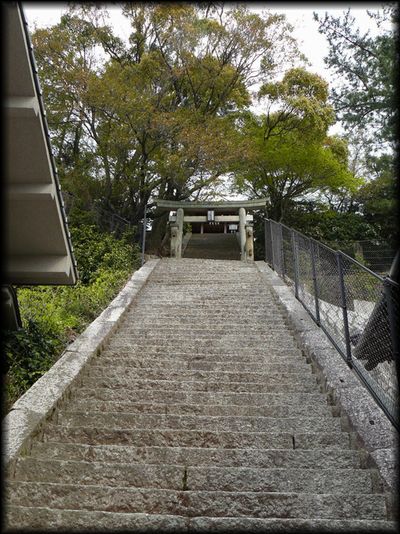 ���ɐ��_��