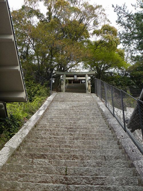 ���ɐ��_��