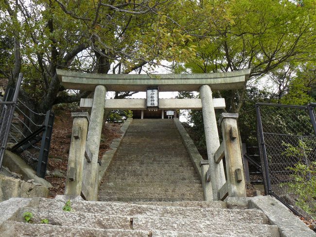 ���ɐ��_��