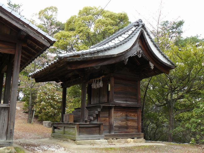 ���ɐ��_��