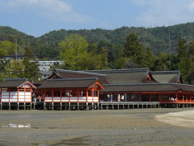 �����_��