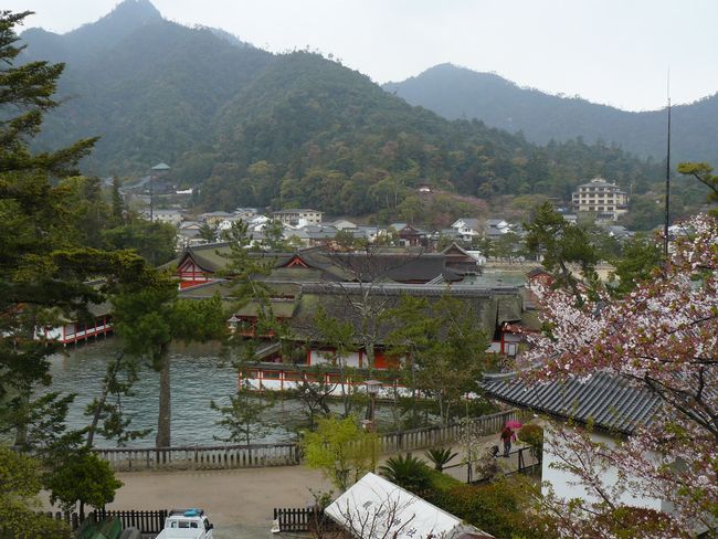 �����_��