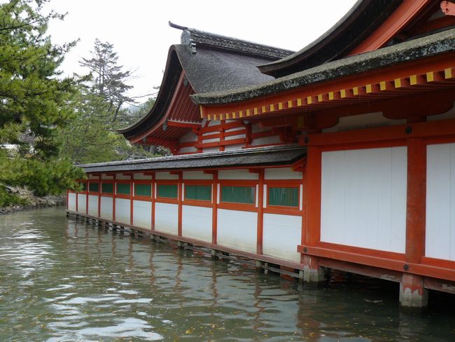 �����_��