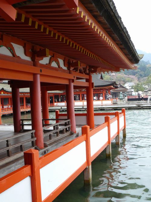 �����_��