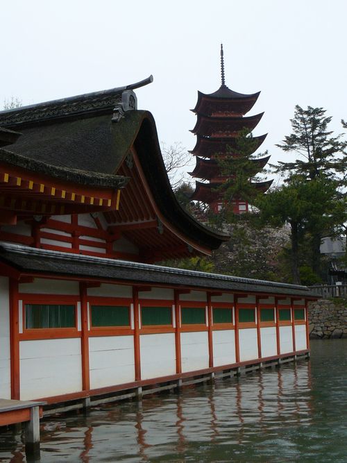 �����_��