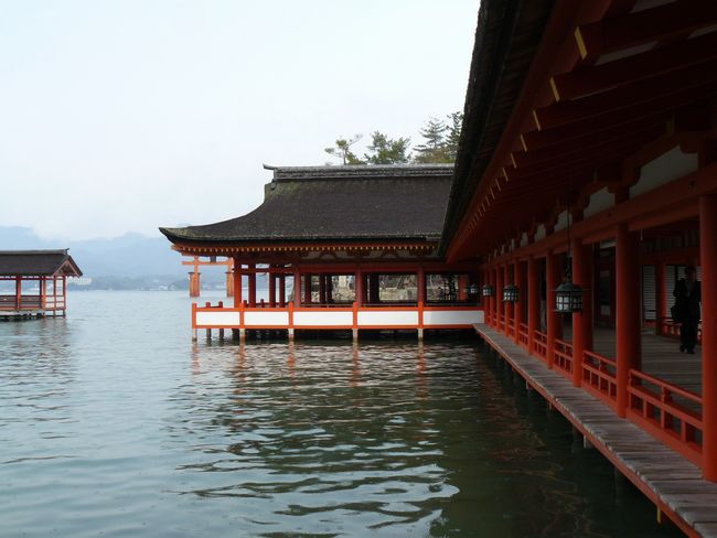 �����_��