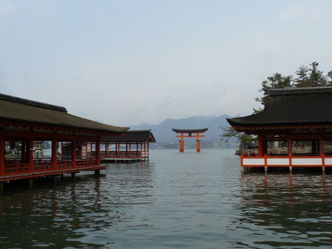 �����_��