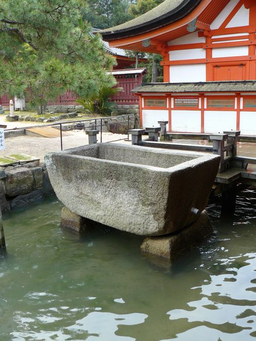 �����_��