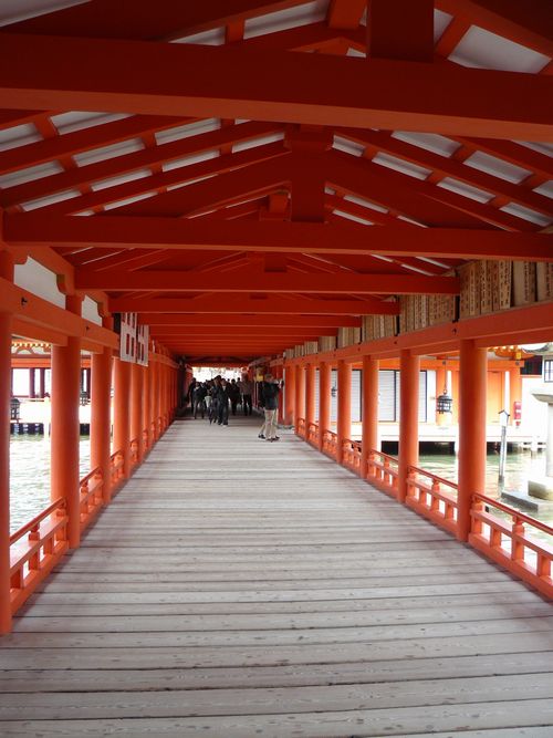 �����_��