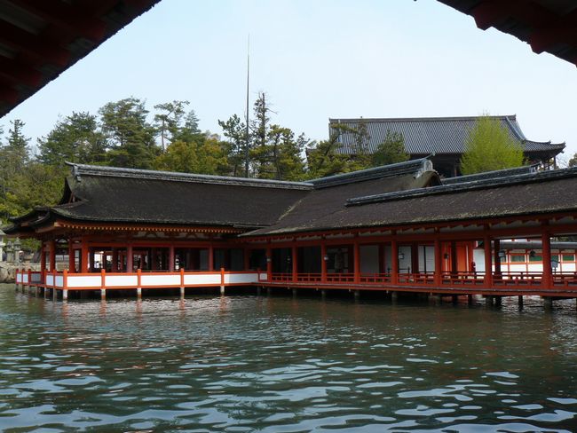 �����_��