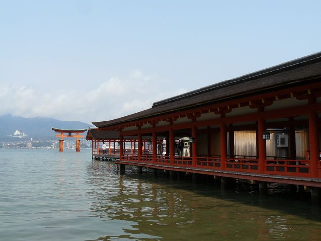 �����_��