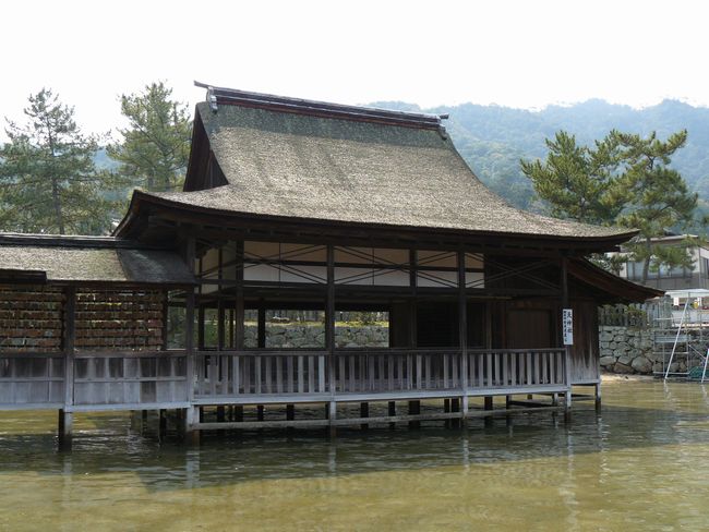 �����_��