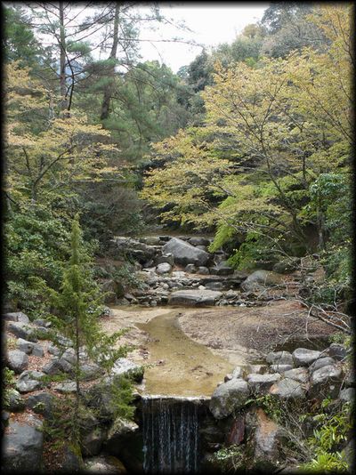 �g�t�J����