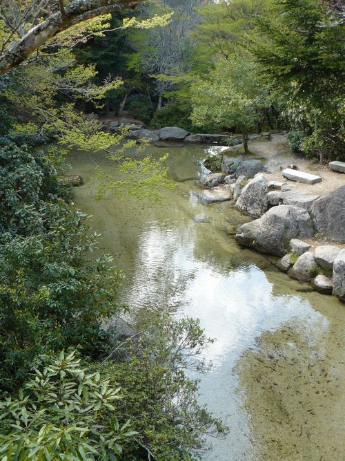 �g�t�J����