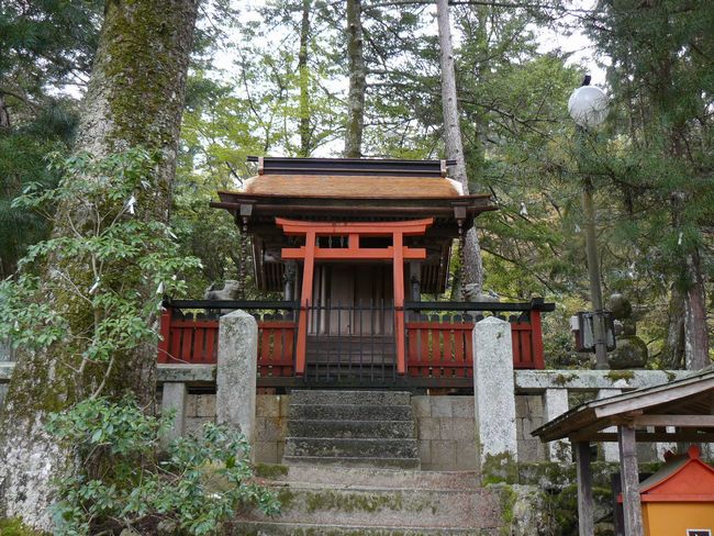 �l�̋{�_��