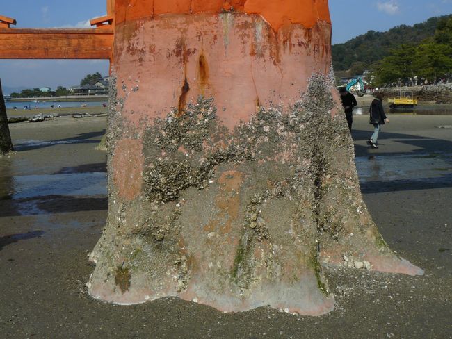 �咹���i�����_�Ёj