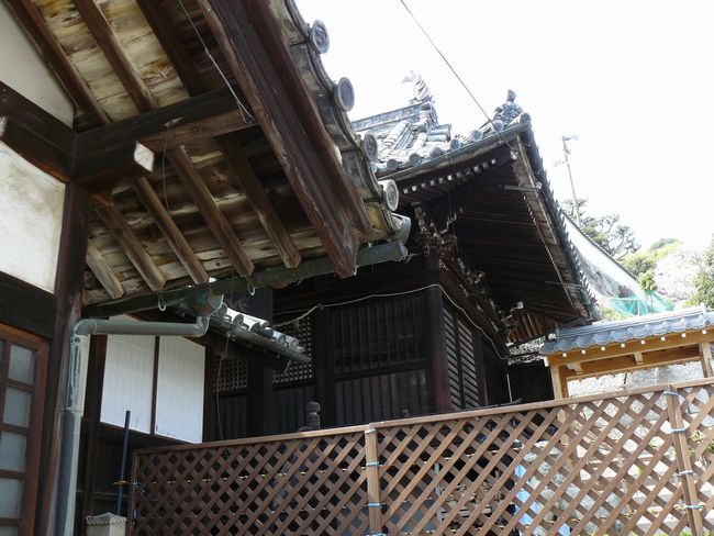 �����@�i�������匠���j