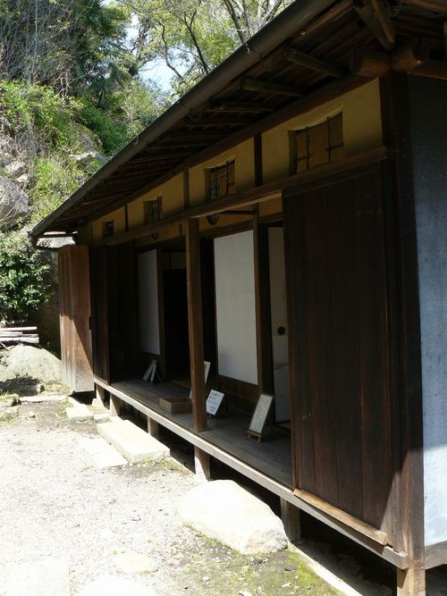 �������g����