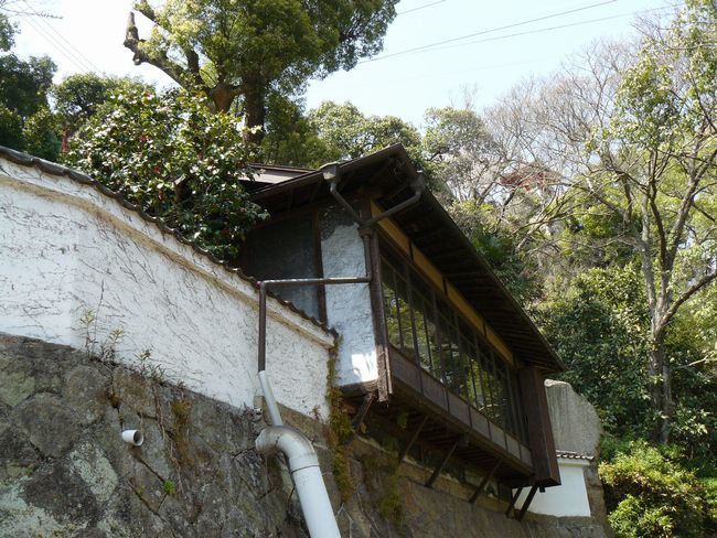 �������g����