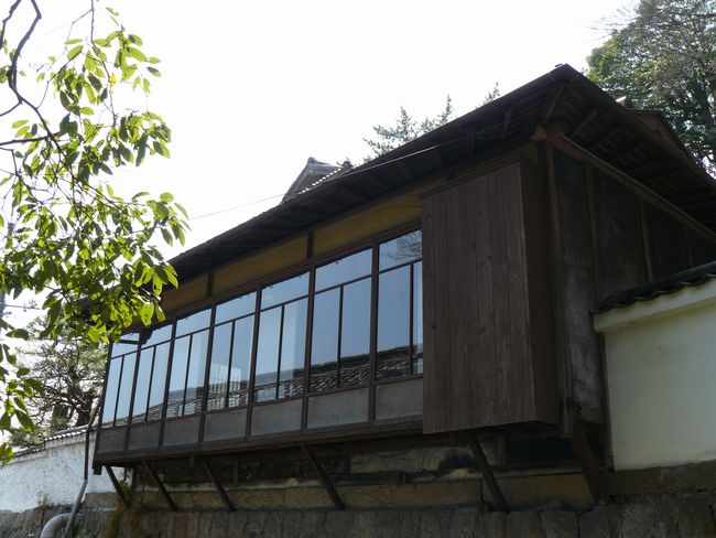 �������g����