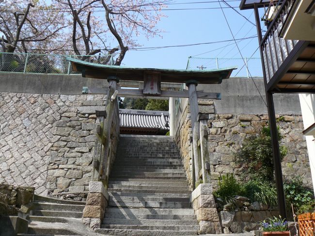 �X�V�������_��