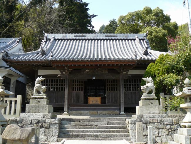 �X�V�������_��