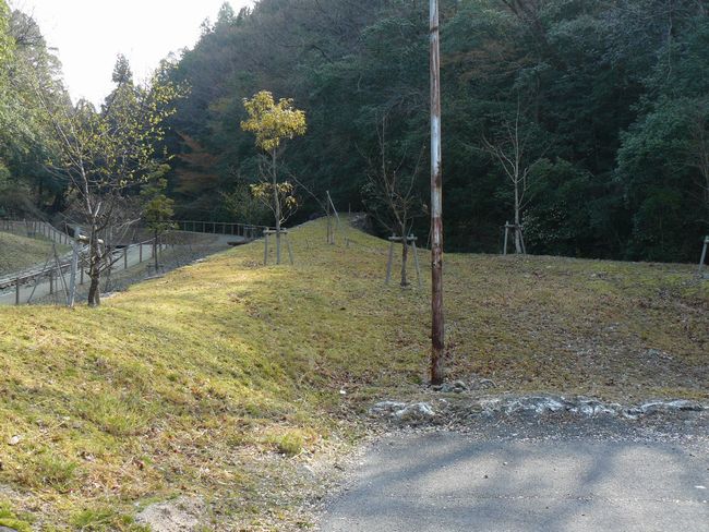 ��ʉ@�J��ՁE�򌤖x