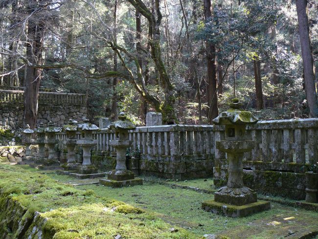 �ї��ꑰ�揊