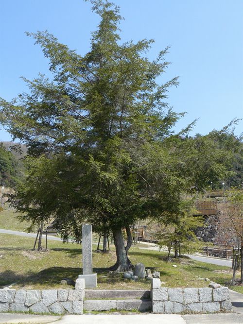 �ї����A�Α���`���n