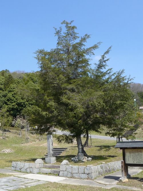 �ї����A�Α���`���n